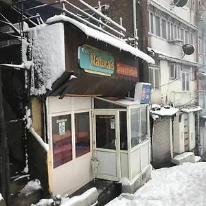 Hostel Exotic Naturals, Shimla